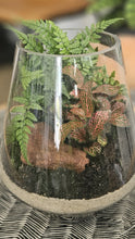 Load image into Gallery viewer, Emily Terrarium