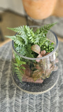 Load image into Gallery viewer, Emily Terrarium