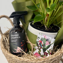 Load image into Gallery viewer, Small Planter Gift Hamper