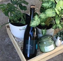 Load image into Gallery viewer, Sparkling Prosecco