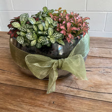 Load image into Gallery viewer, Fittonia Glass Bowl