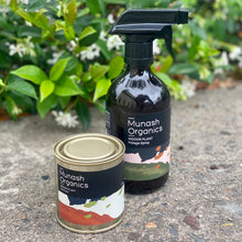 Load image into Gallery viewer, Munash Organics Indoor Plant Bundle