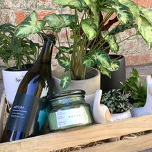 Load image into Gallery viewer, Happy New Home Plant Hamper