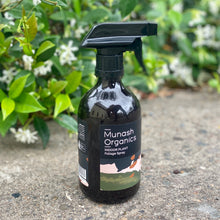 Load image into Gallery viewer, Munash Organics Indoor Plant Bundle