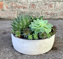 Load image into Gallery viewer, Lush Succulent Planter