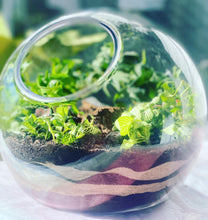 Load image into Gallery viewer, Side opening Round Terrarium with Ivy, Fittonias and feature stones