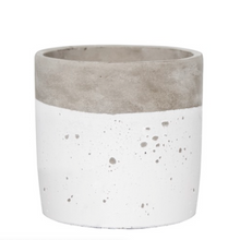 Load image into Gallery viewer, Deluxe Seagrass Planter Gift Hamper