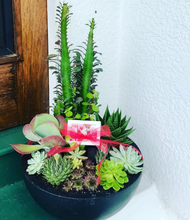 Load image into Gallery viewer, Euphorbia & Succulent Bowl