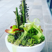 Load image into Gallery viewer, Euphorbia & Succulent Bowl