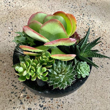 Load image into Gallery viewer, The Flap Jack Succulent Bowl