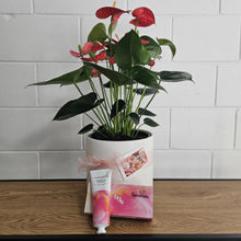 Load image into Gallery viewer, For My Mum -Gift Set- Flowering Anthurium in a Planter and Hand Cream
