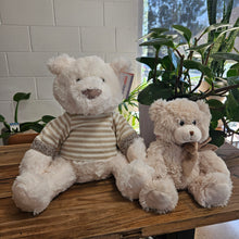 Load image into Gallery viewer, New Baby Gift bag
