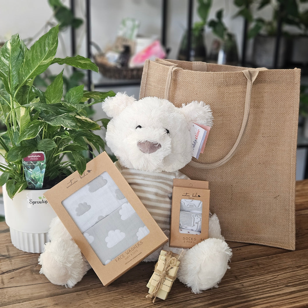New Baby Gift bag