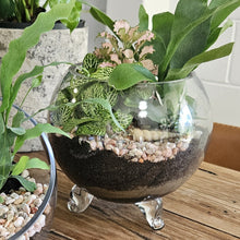 Load image into Gallery viewer, Footed Glass Terrarium -Top Opening
