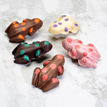 Load image into Gallery viewer, Chocolate Country Variety Box Fruity Frogs
