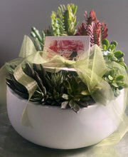 Load image into Gallery viewer, Euphorbia &amp; Succulent Bowl
