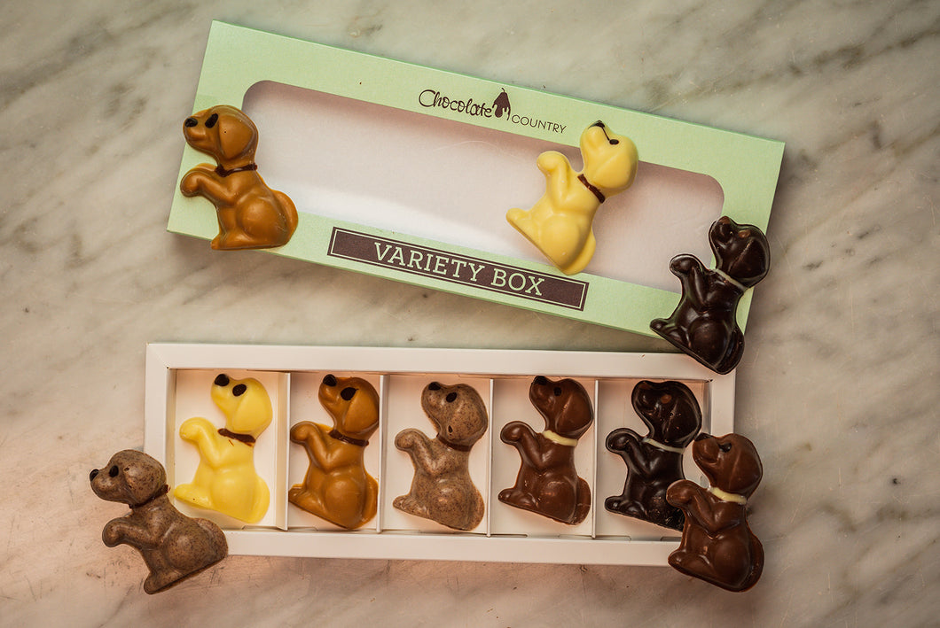 Chocolate Country Dog Variety Gift Box