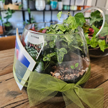 Load image into Gallery viewer, Emily Terrarium

