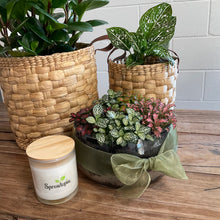 Load image into Gallery viewer, Fittonia Glass Bowl
