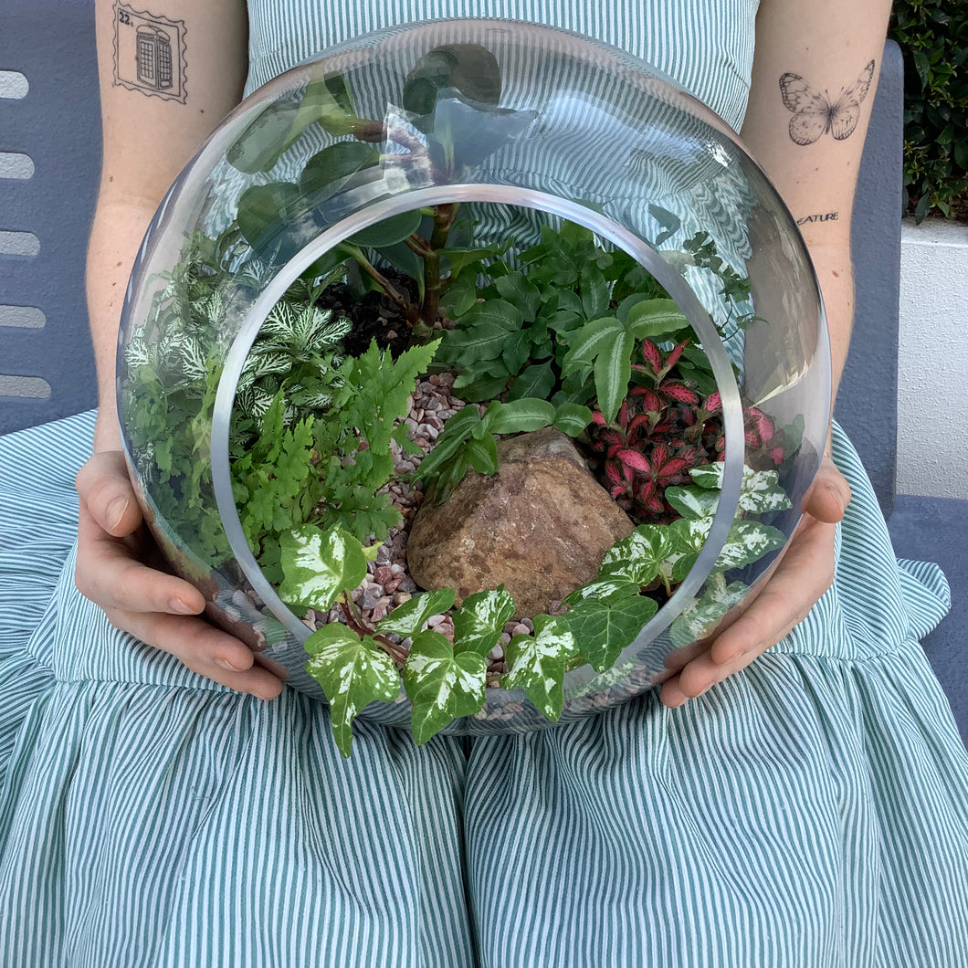 Side opening Round Terrarium with Ivy, Fittonias and feature Stones