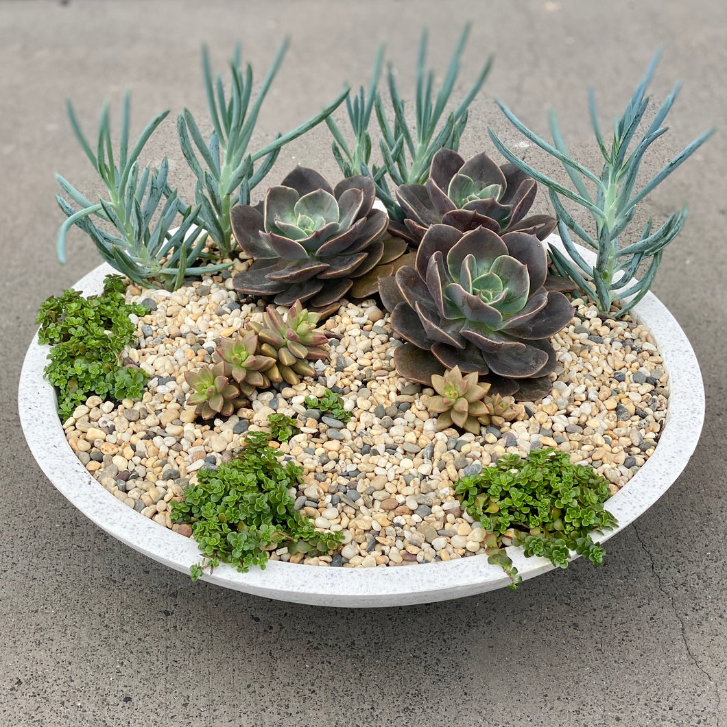 ‘Under The Sea’ Succulent Planter