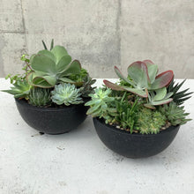 Load image into Gallery viewer, The Flap Jack Succulent Bowl
