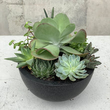 Load image into Gallery viewer, The Flap Jack Succulent Bowl
