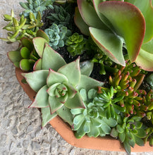 Load image into Gallery viewer, Rustic Terracotta Succulent Planter
