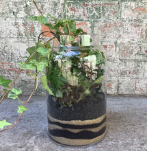 Load image into Gallery viewer, Tall Glass Terrarium with Fittonias, Ferns &amp; Ivy
