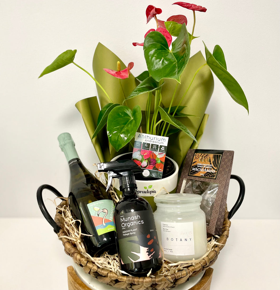 Large Planter Gift Hamper