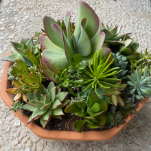 Load image into Gallery viewer, Rustic Terracotta Succulent Planter
