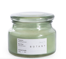 Load image into Gallery viewer, Small Scented Candle Botany Jar - Sage Island Rainforest
