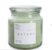 Load image into Gallery viewer, Large Scented Candle Botany Jar - Sage Island Rainforest
