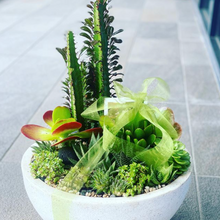 Load image into Gallery viewer, Euphorbia &amp; Succulent Bowl
