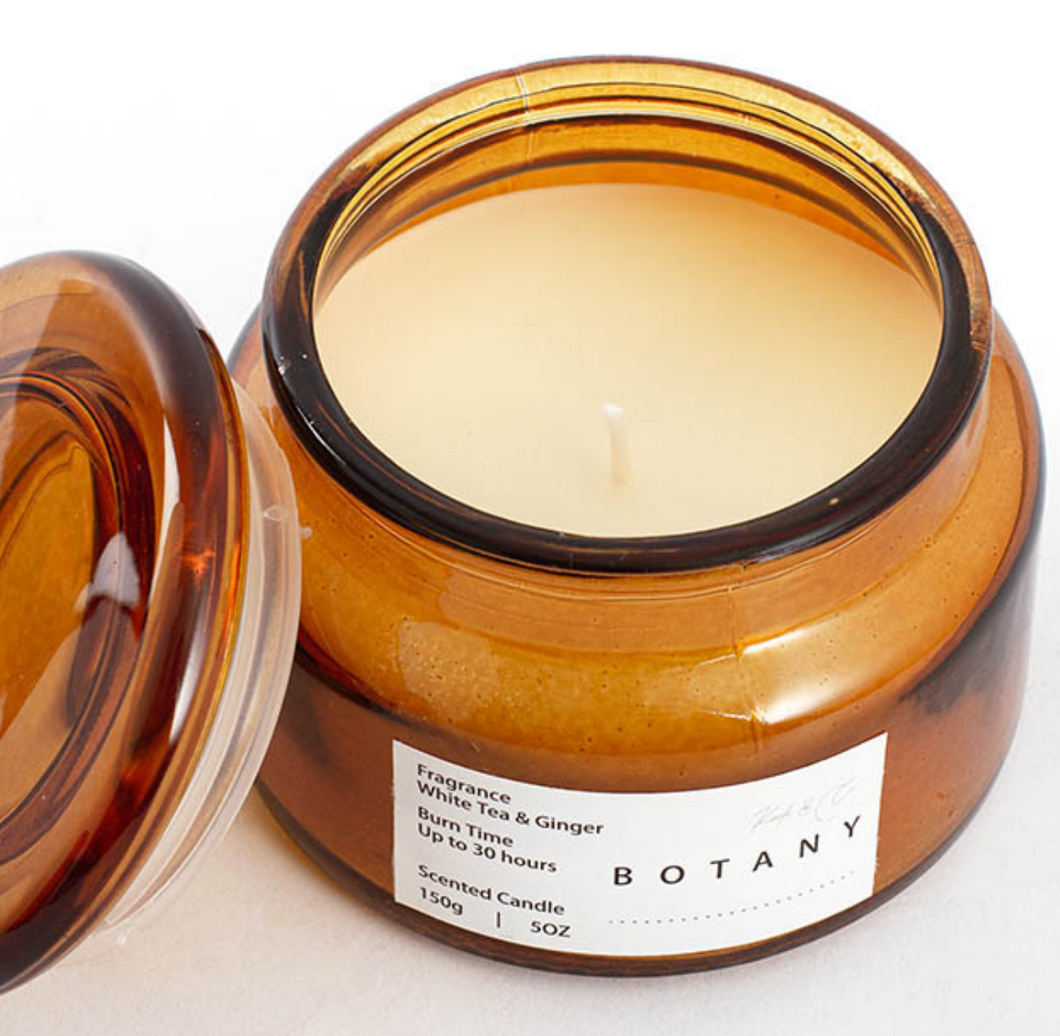 Small Scented Candle Botany Jar - White Tea and Ginger