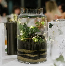 Load image into Gallery viewer, Tall Glass Terrarium with Fittonias, Ferns &amp; Ivy
