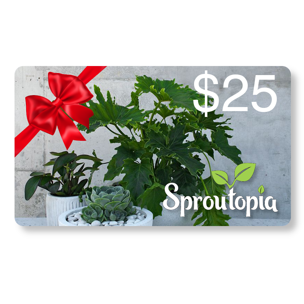 $25 Gift Card