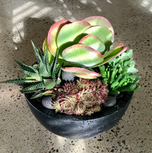 Load image into Gallery viewer, The Flap Jack Succulent Bowl
